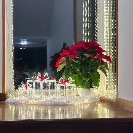 Le Foglie D'ulivo * Bari