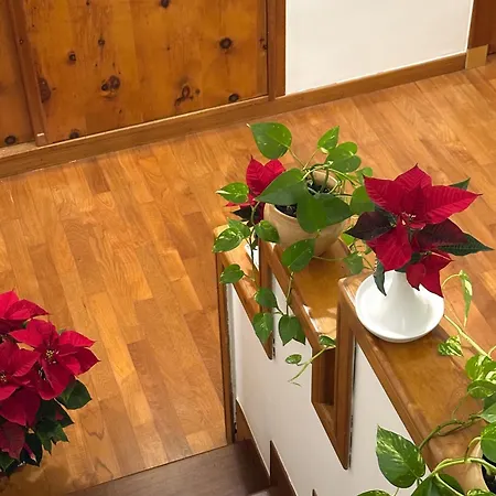 Le Foglie D'ulivo Oda ve Kahvaltı